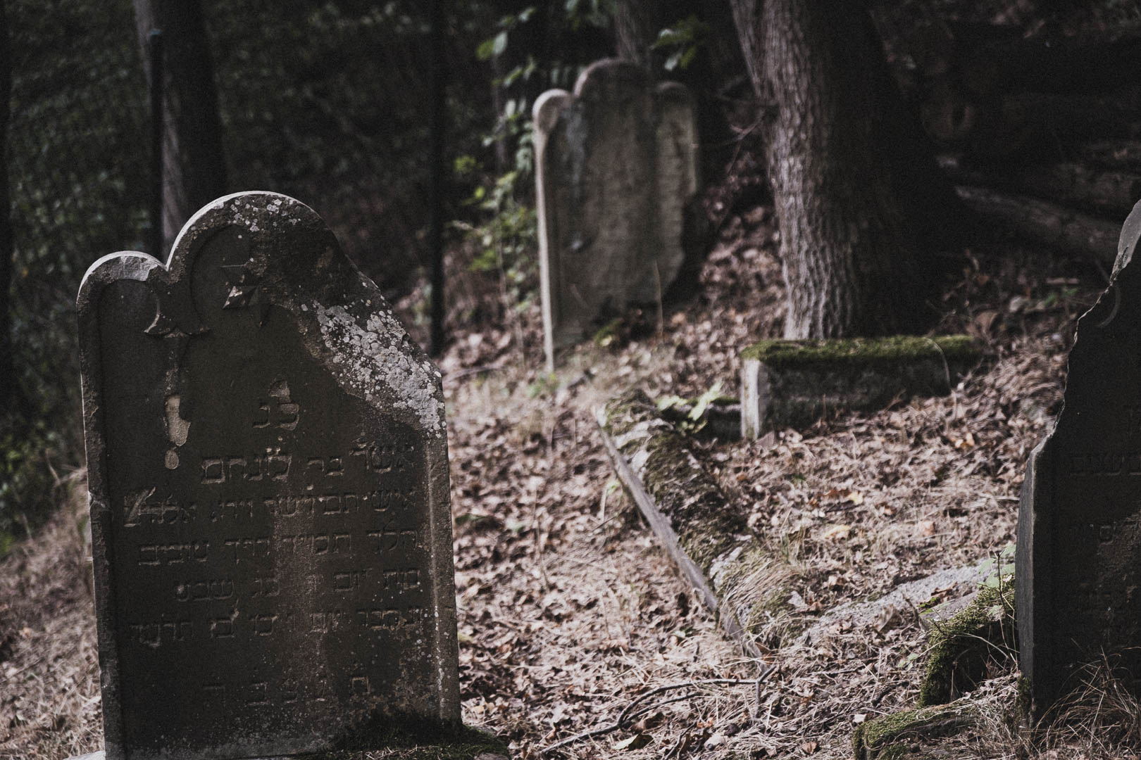 Sontra, Jüdischer Friedhof